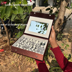 12 Mix Jhumka With Luxury Velvet Box